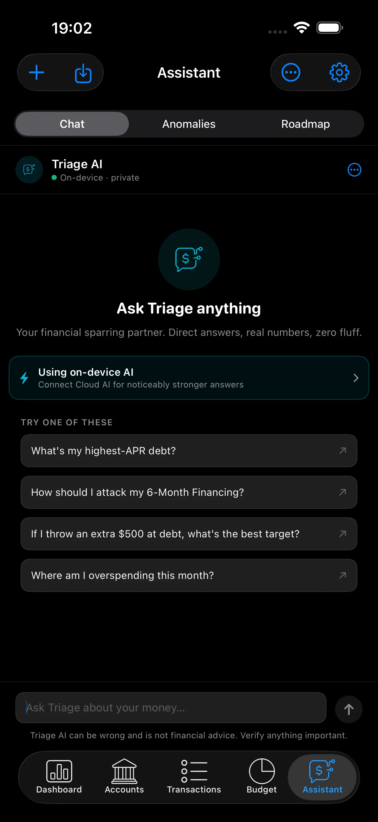 Triage AI assistant chat on iPhone, on-device and private