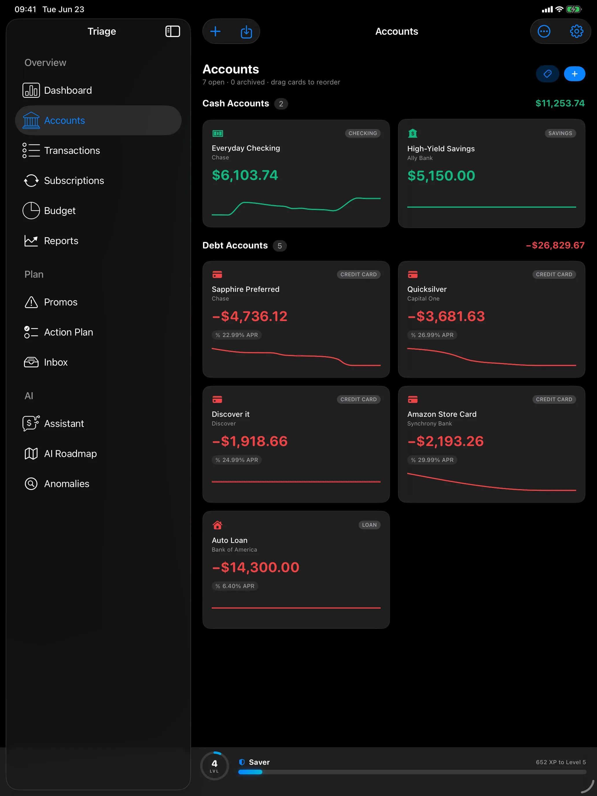Accounts on iPad: cash, cards, loans, and investments