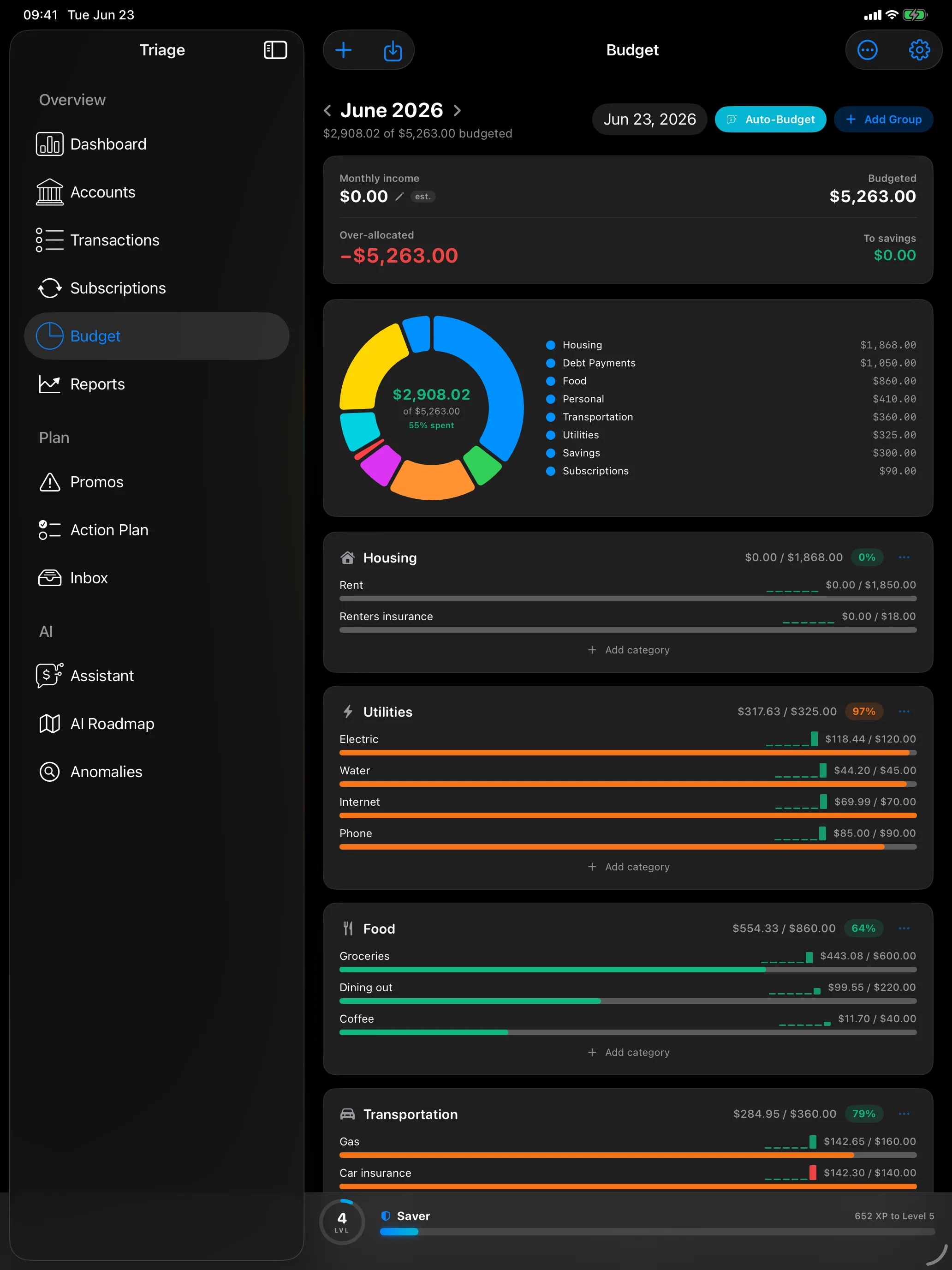 Monthly budget on iPad with per-category limits