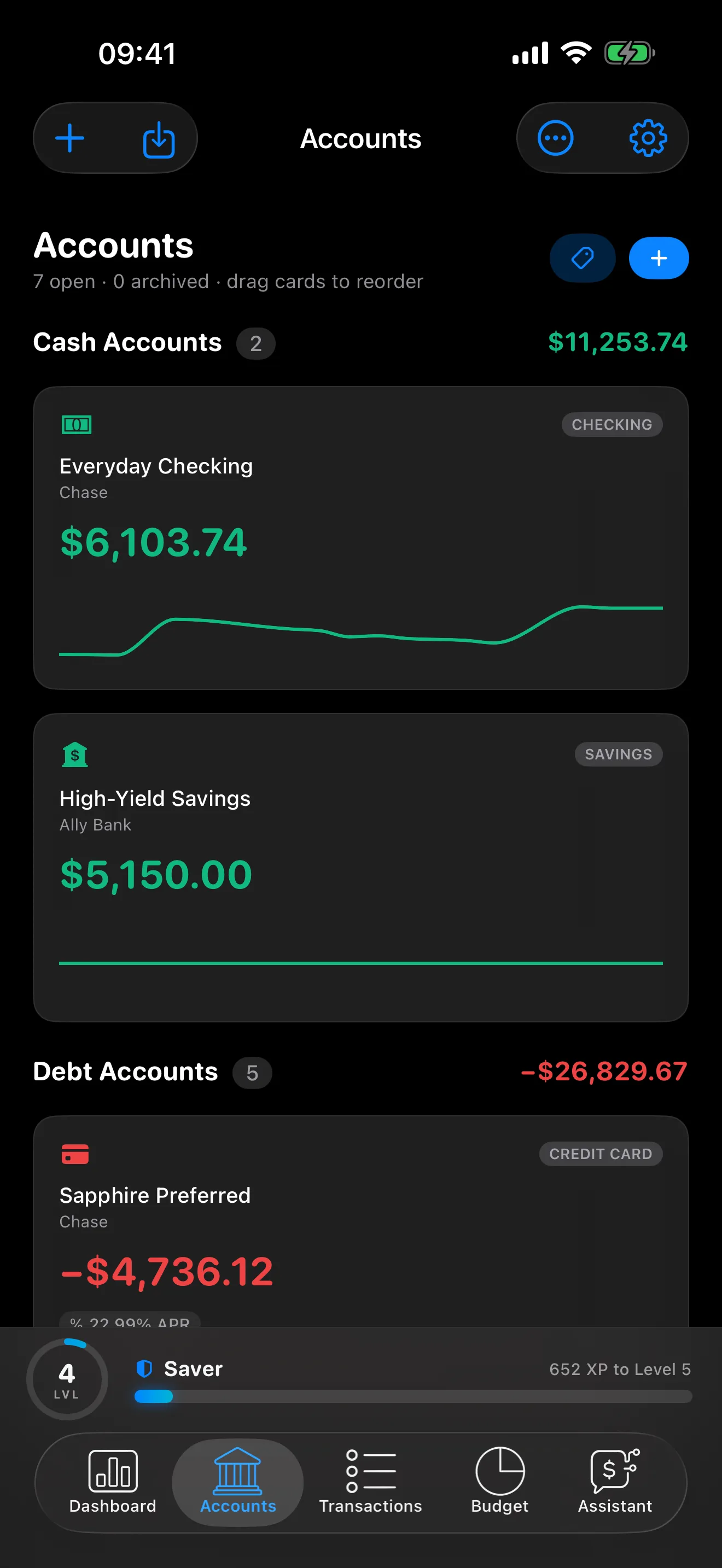 Accounts on iPhone: cash and debt at a glance